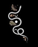 Snake And Mystical Leaves Butterfly And Moon Graphic Print Long Three Piece Set